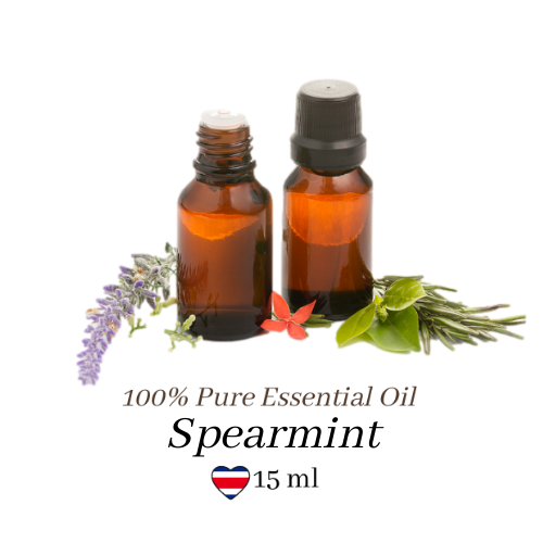 Spearmint Oil  dōTERRA Essential Oils