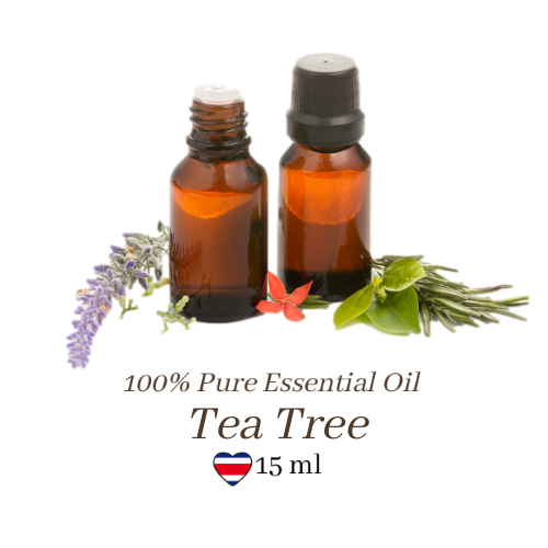 Tea Tree Essential Oil