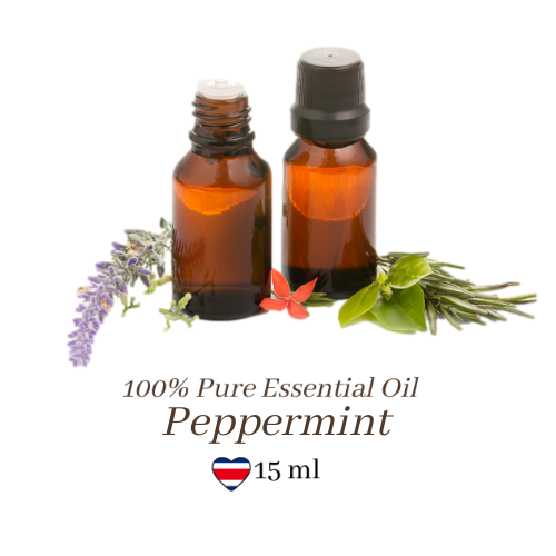 Peppermint Essential Oil