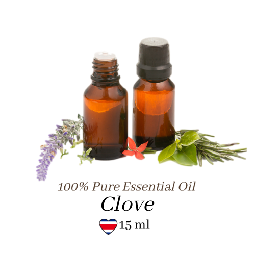 Clove Essential Oil